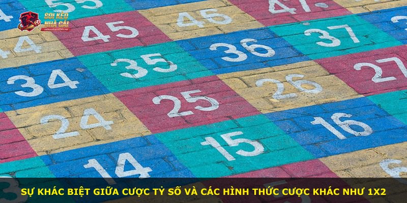 Sự khác biệt giữa cược tỷ số và các hình thức cược khác như 1X2