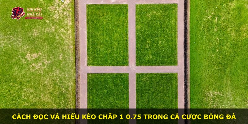 Cách đọc và hiểu kèo chấp 1 0.75 trong cá cược bóng đá