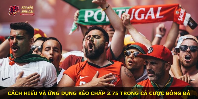 Cách hiểu và ứng dụng kèo chấp 3.75 trong cá cược bóng đá