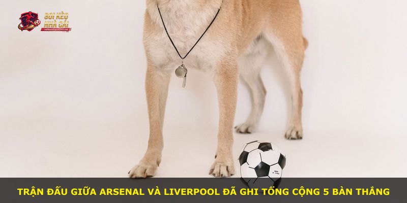 Trận đấu giữa Arsenal và Liverpool đã ghi tổng cộng 5 bàn thắng