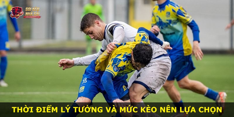 Thời điểm lý tưởng và mức kèo nên lựa chọn