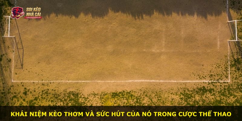 Khái niệm Kèo Thơm và sức hút của nó trong cược thể thao