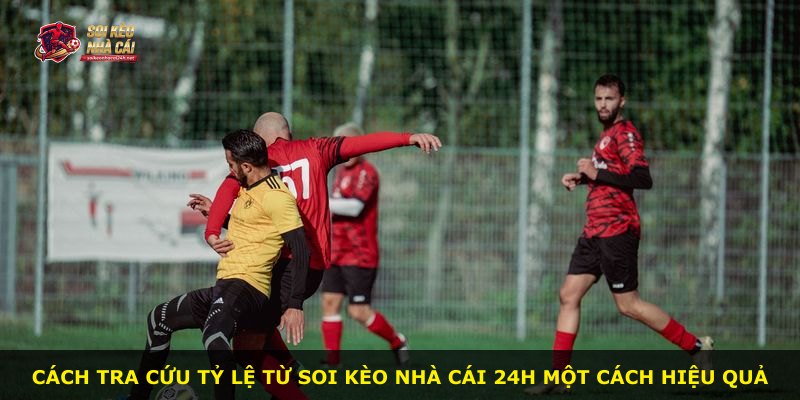 Cách tra cứu tỷ lệ từ Soi Kèo Nhà Cái 24H một cách hiệu quả